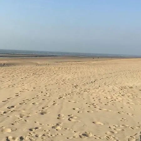 Daire Cap Horn 0203 *